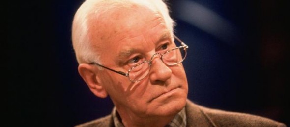 Michel-van-der-Plas-590x260